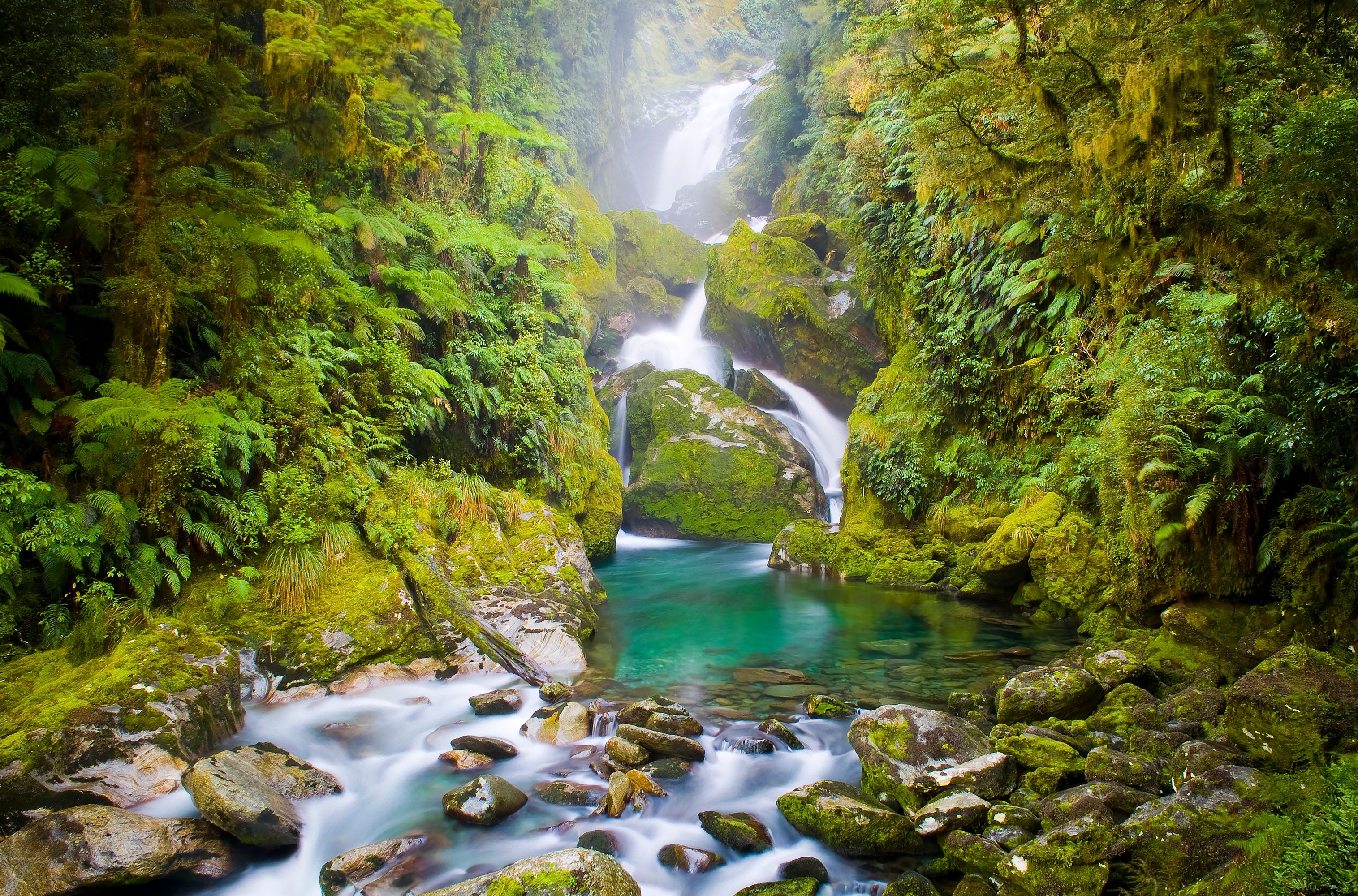 Stream